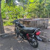 Lị