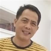 gấ