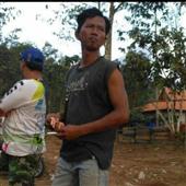 Dự