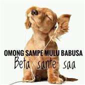 VỪ