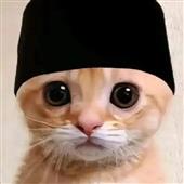 Un