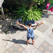 Đả