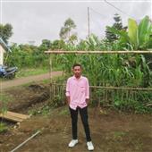 VE
