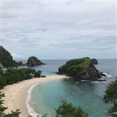 Sự