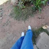 Gi