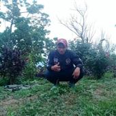 Lu