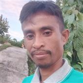 Gà