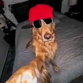 Tr