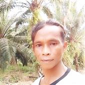 Cừ