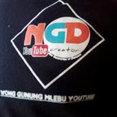Gi