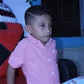 Bó