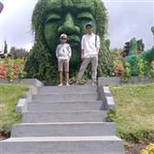 Dự