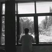 Vu