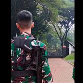 Dự