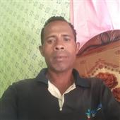 Bó