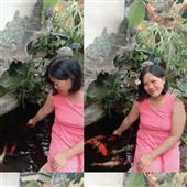 Tỉ