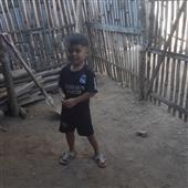 Sư