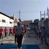 Bó