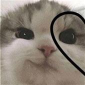 Ma
