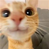 Ra