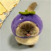 Al