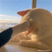 Th