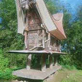 Bầ