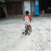 Lị