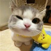 Ti