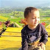 Lị