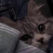 th