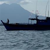 Dự