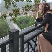 Gi