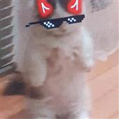 Câ
