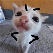 Tỷ