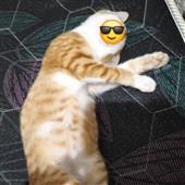 Wo