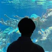 Rồ