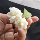 Bu