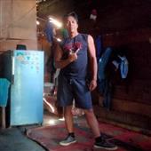 Dự
