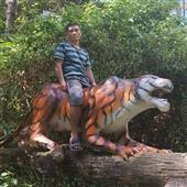 Sự