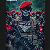 Gi