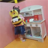 Dr