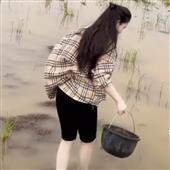 Vị