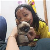 Tộ