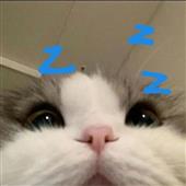 Sò