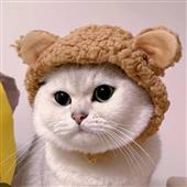 Bắ