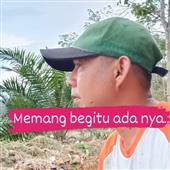 Sư
