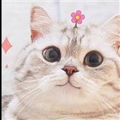 Mạ