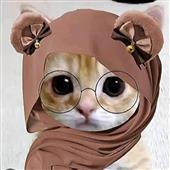 Ch