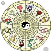 Xú